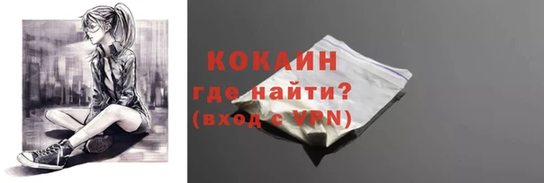 тгк Абаза
