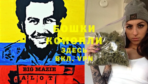 тгк Абаза