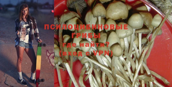 тгк Абаза