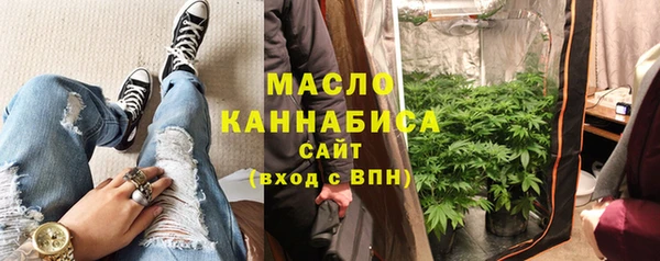 тгк Абаза