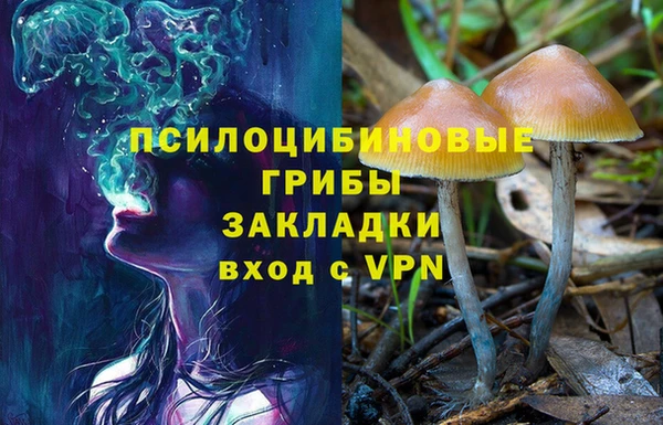 тгк Абаза