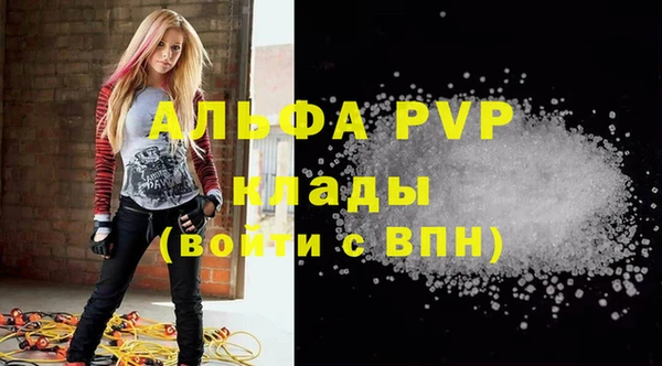 тгк Абаза