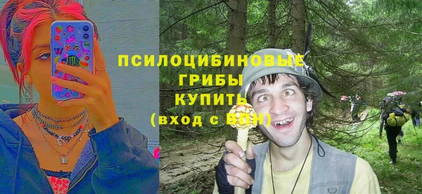 индика Абдулино