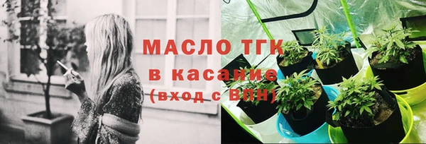 тгк Абаза
