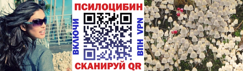 shop состав  гидра ссылка  Псилоцибиновые грибы Cubensis  Усмань  где можно купить  